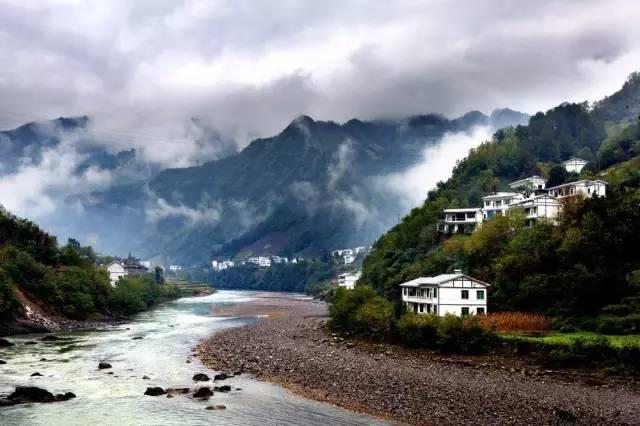 翻转吧，苹果虫